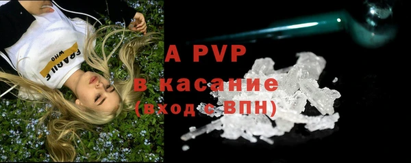 гидра Кодинск