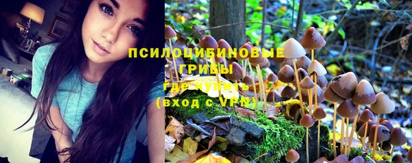 гидропоника Козловка