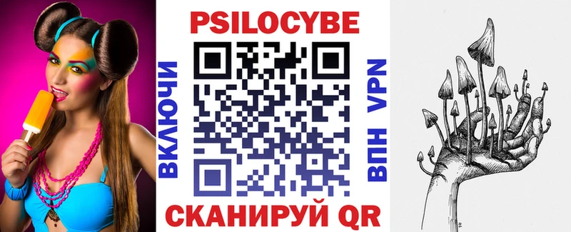 Псилоцибиновые грибы Psilocybe Красновишерск
